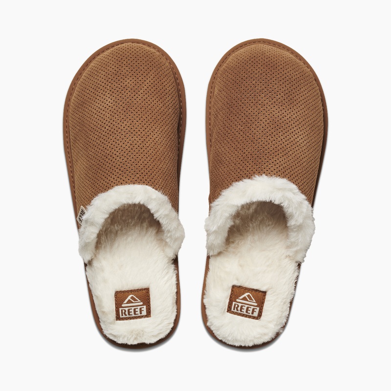 Women's Reef Reef Cozy Slippers Brown | tZcgfeifc0f